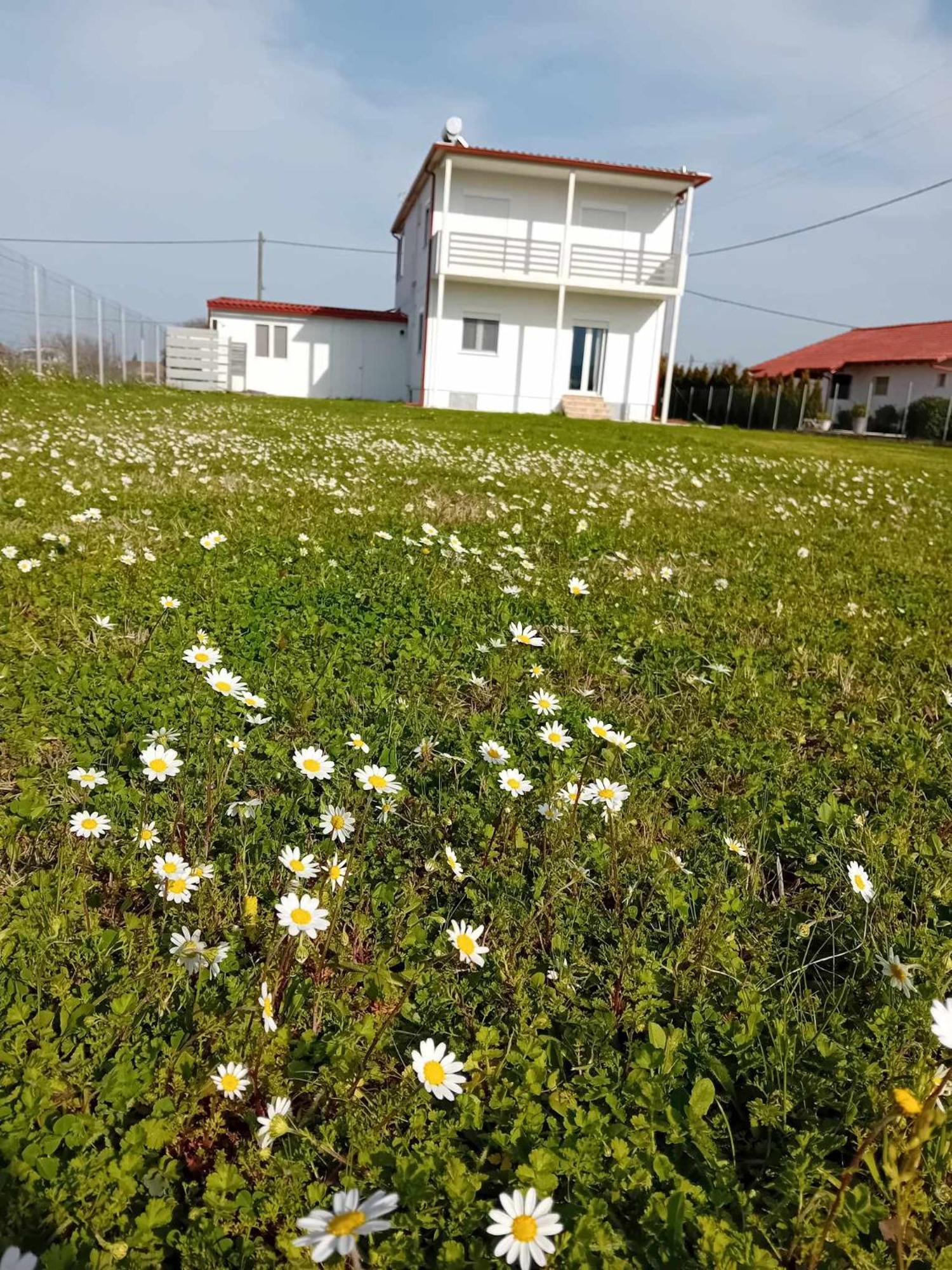 Countryside Apartments First Floor Τρίκαλα Εξωτερικό φωτογραφία