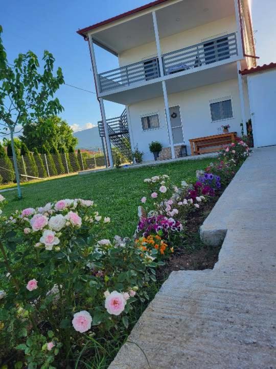 Countryside Apartments First Floor Τρίκαλα Εξωτερικό φωτογραφία